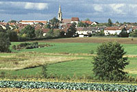 1_organisation_kommunen_le_04_72