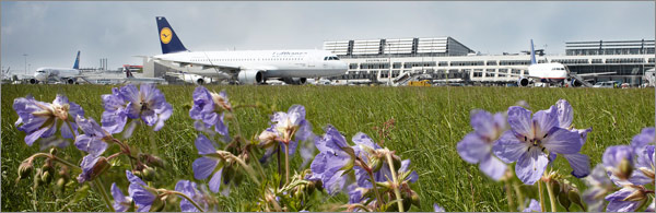 5_rechte-spalte_bildungsparcours_flughafen